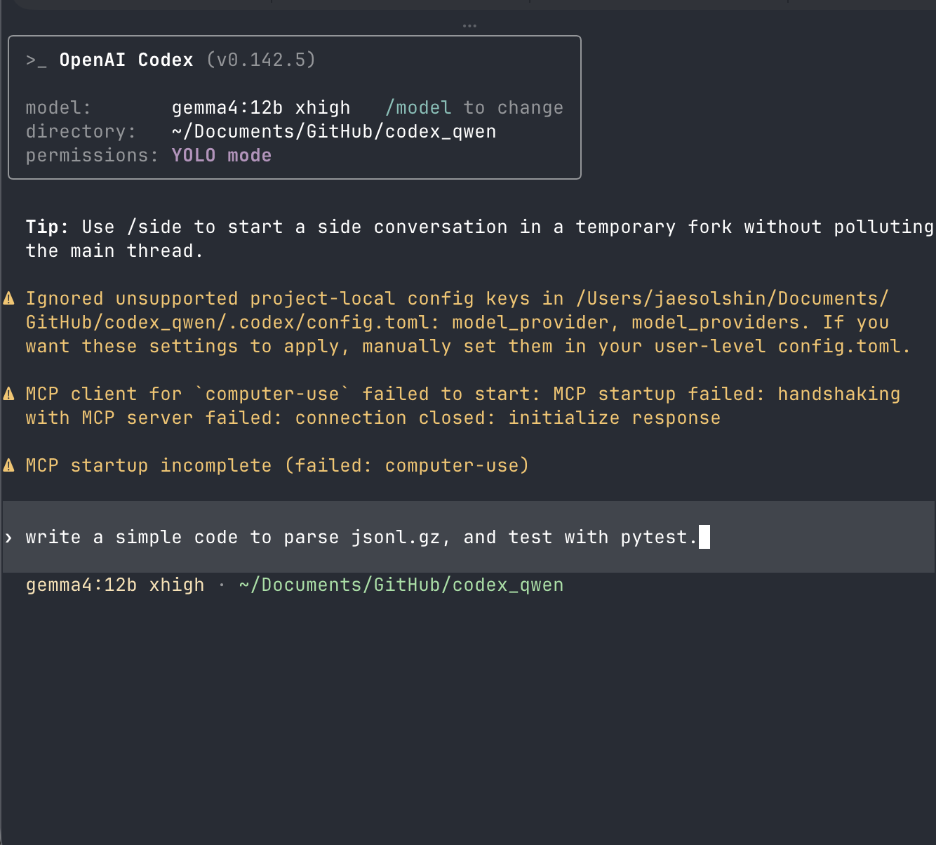 ignored project-local config warning and YOLO mode at codex startup